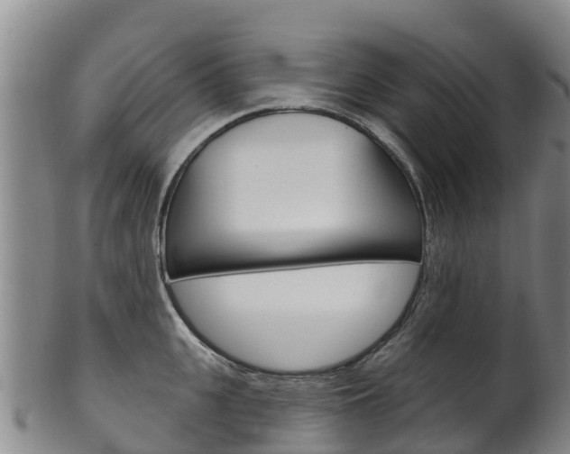 X0000102530951200808081049