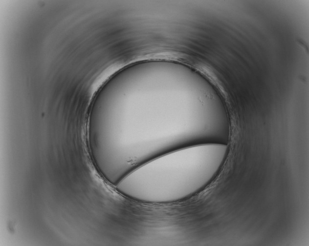 X0000102530952200808081049