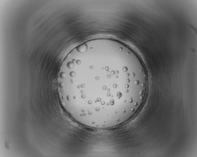 X0000102530953200808081049