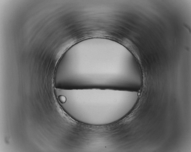 X0000102530954200808081049