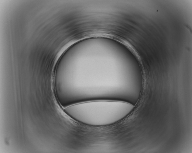 X0000102530955200808081049