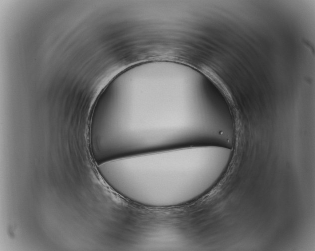 X0000102530956200808081049