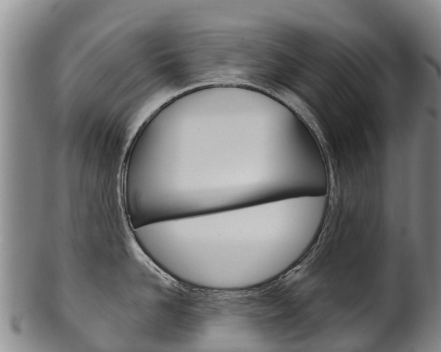 X0000102530958200808081049