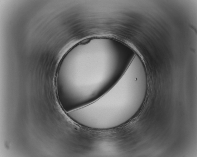X0000102530959200808081049