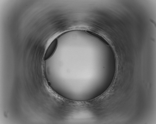 X0000102530960200808081049