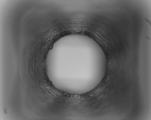 X0000102530961200808081049
