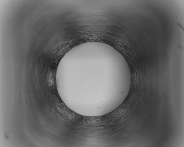 X0000102530962200808081049