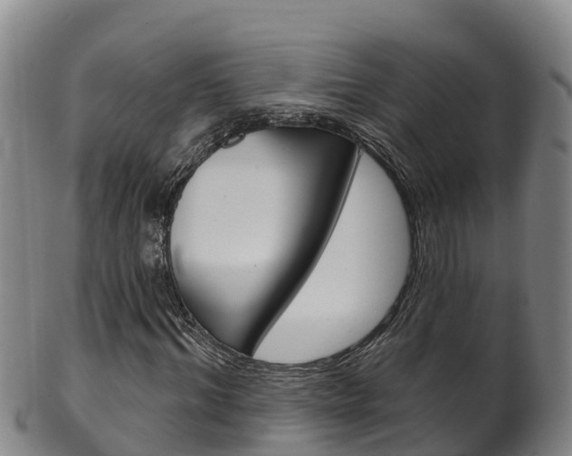 X0000102530964200808081049