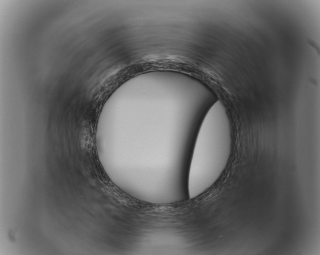 X0000102530966200808081049
