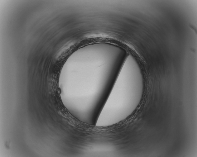 X0000102530967200808081049