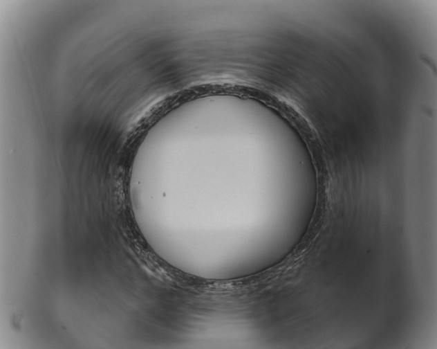 X0000102530968200808081049