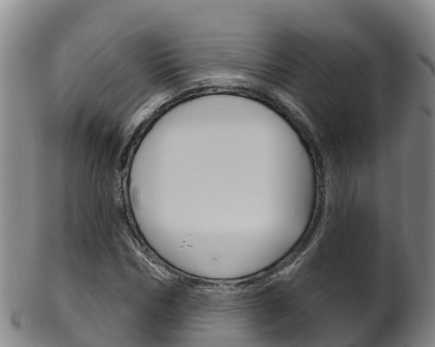 X0000102530970200808081049