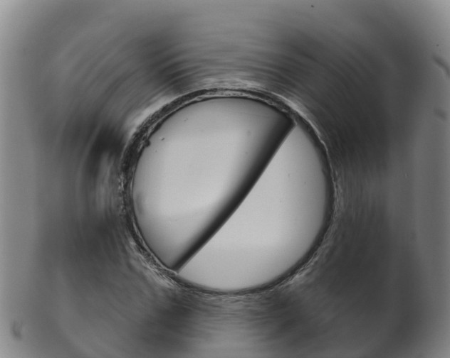 X0000102530971200808081049