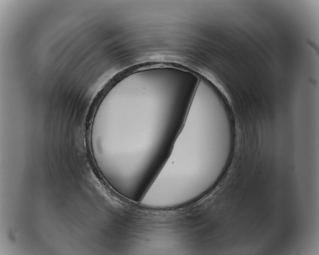 X0000102530972200808081049