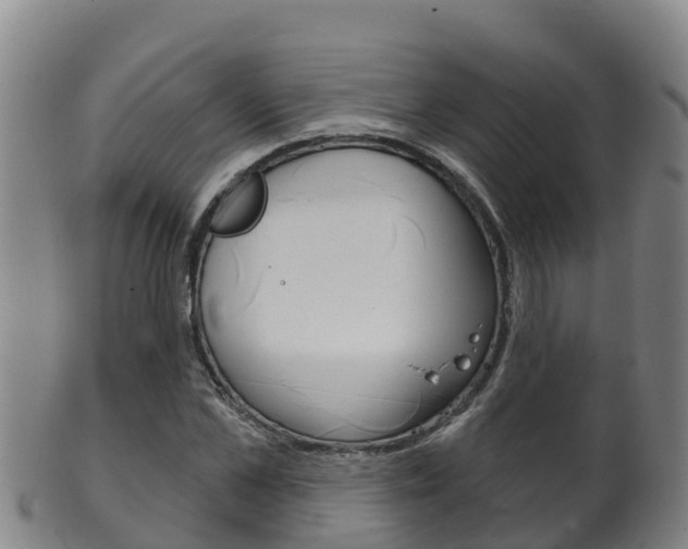 X0000102530973200808081049