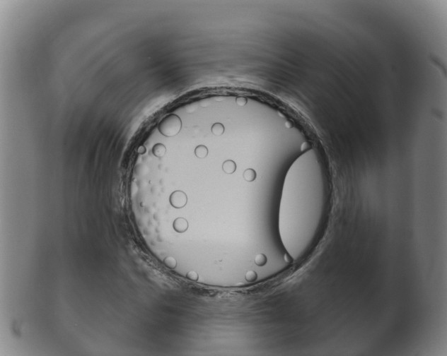 X0000102530974200808081049