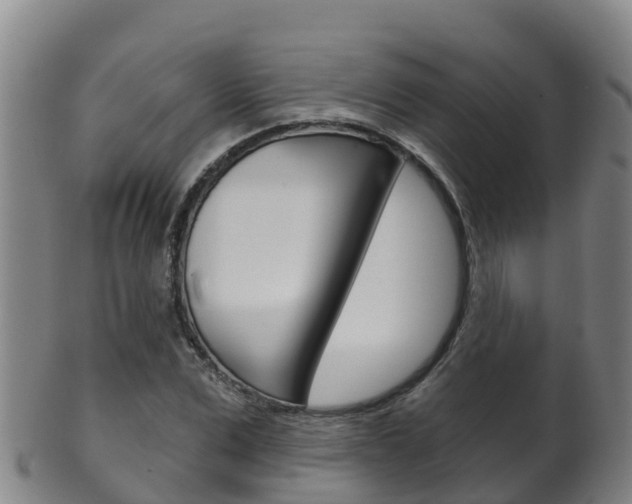 X0000102530975200808081049
