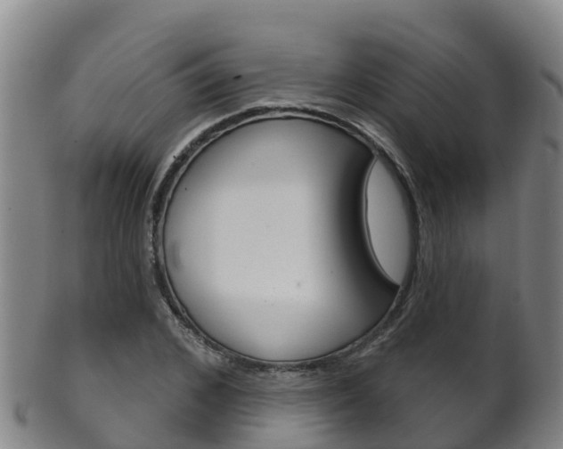 X0000102530976200808081049