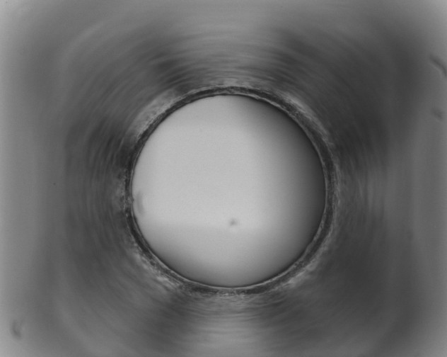 X0000102530977200808081049