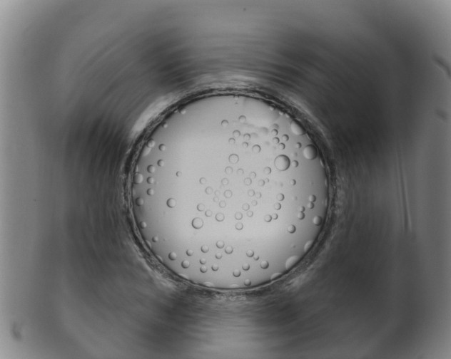 X0000102530978200808081049
