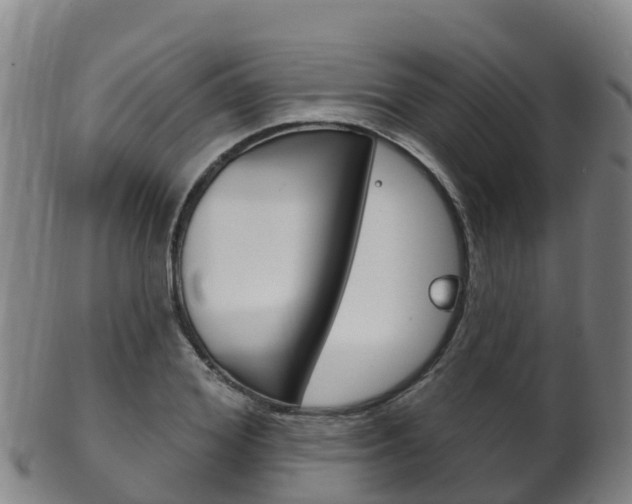 X0000102530980200808081048