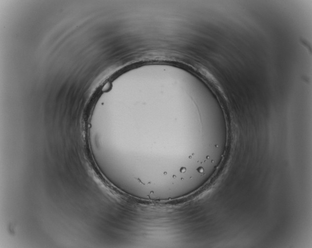 X0000102530981200808081048