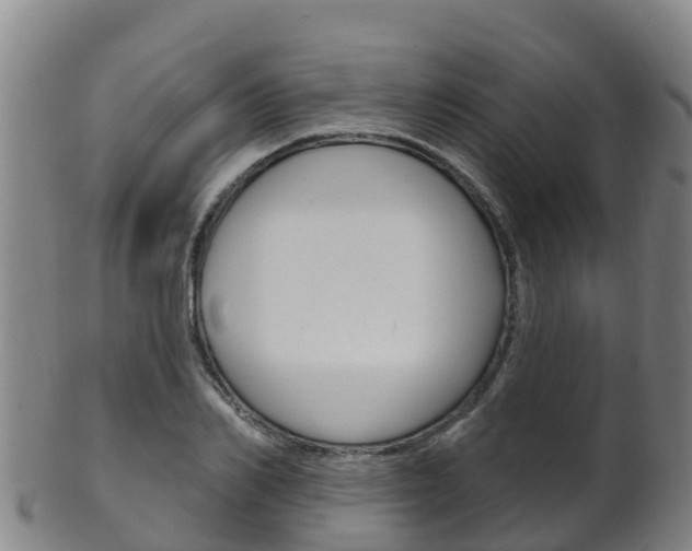 X0000102530982200808081048