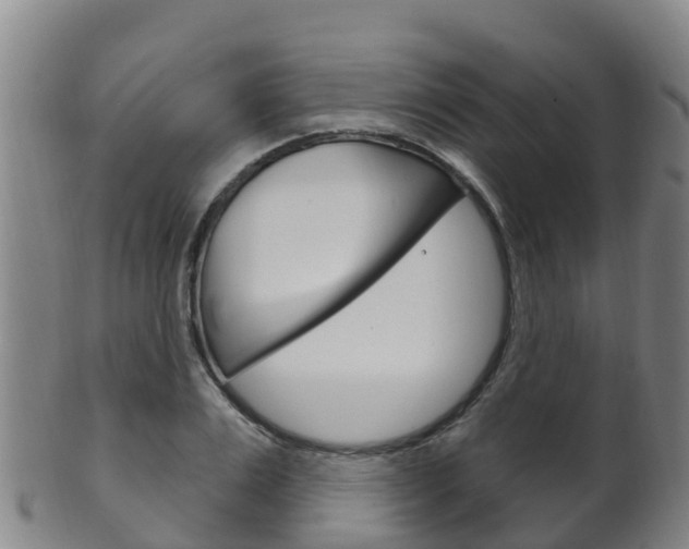 X0000102530983200808081048