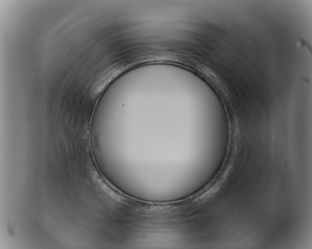 X0000102530985200808081048