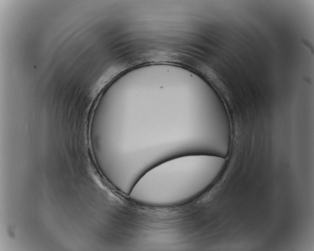 X0000102530986200808081048