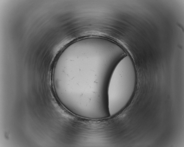 X0000102530987200808081048