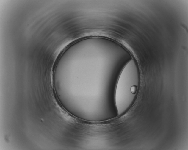 X0000102530988200808081048