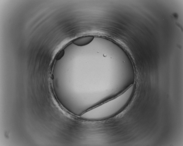 X0000102530989200808081048