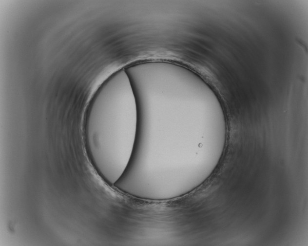 X0000102530990200808081048