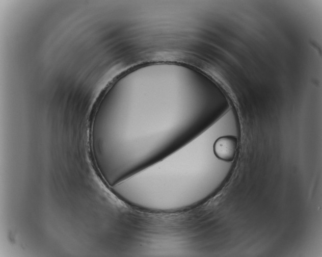 X0000102530992200808081048