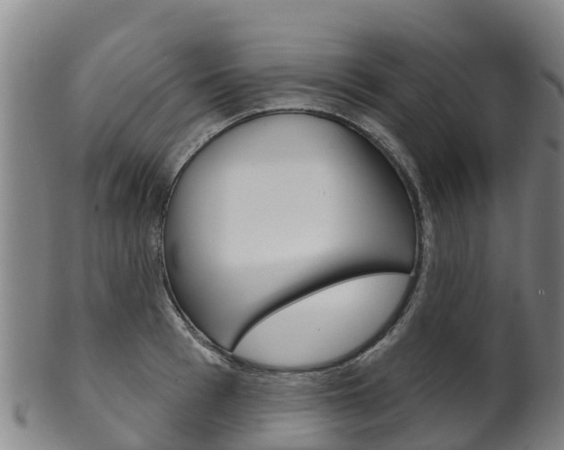 X0000102530993200808081048