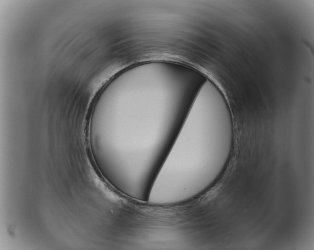X0000102530995200808081048