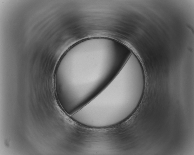 X0000102530996200808081048