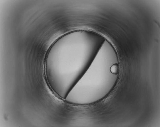 X0000102530999200808081048