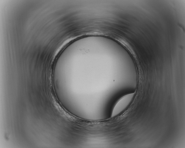 X0000102531000200808081048