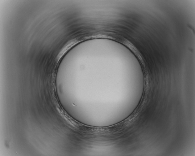 X0000102531002200808081048