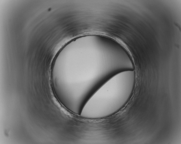 X0000102531005200808081048