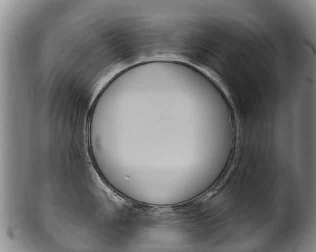 X0000102531006200808081048