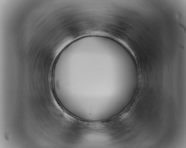 X0000102531007200808081048