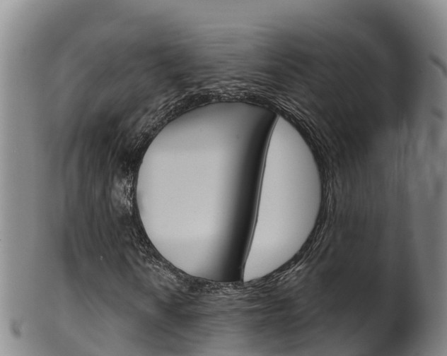 X0000102531010200808081047