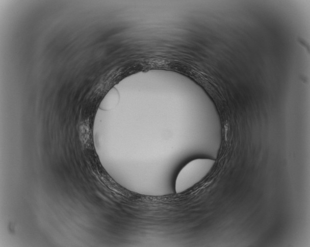X0000102531011200808081047