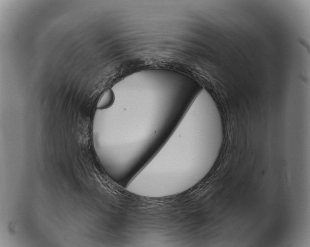 X0000102531012200808081047