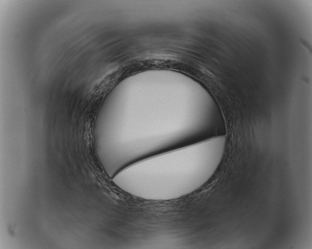 X0000102531014200808081047