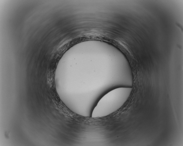 X0000102531015200808081048