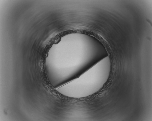 X0000102531016200808081048